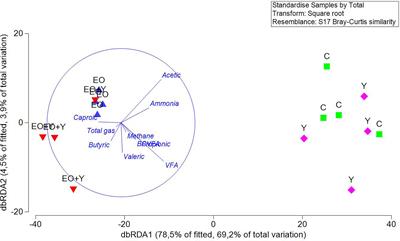 Evaluation of a Colombian oregano oil (Lippia origanoides Kunth) and a novel yeast product from Pichia guilliermondii, alone or in combination, on rumen fermentation, methanogenesis and the microbiome in the rumen simulation technique